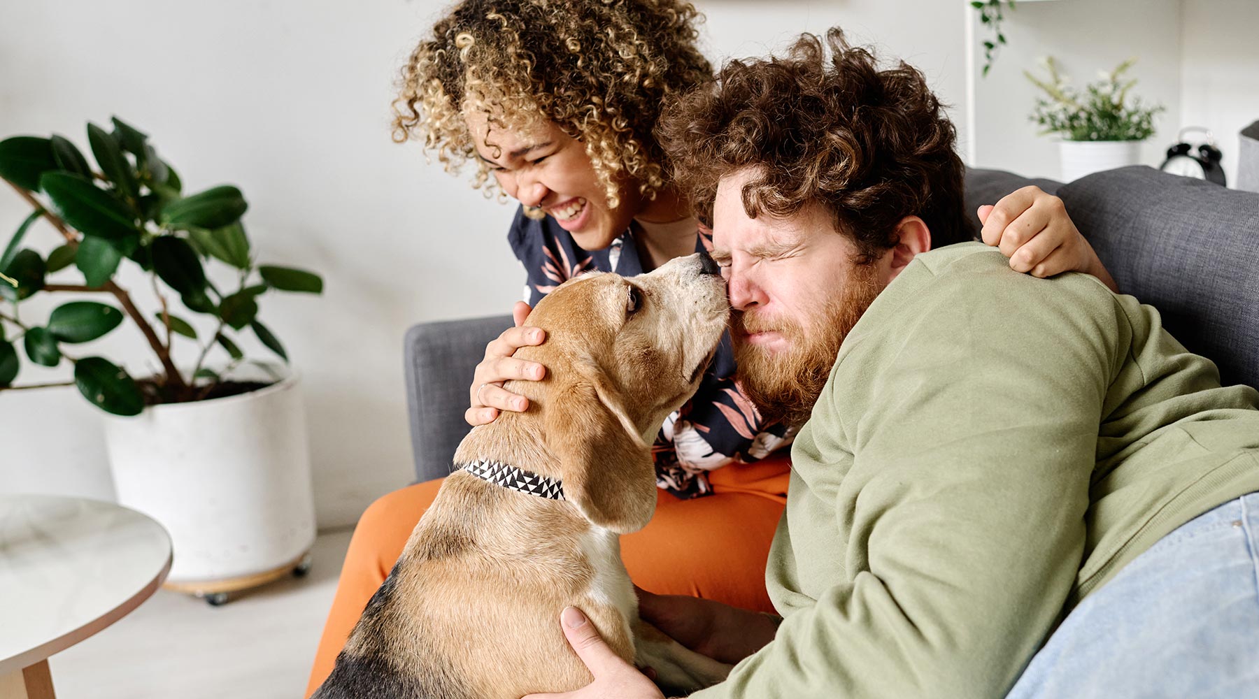 1cute-pet-loving-his-owners